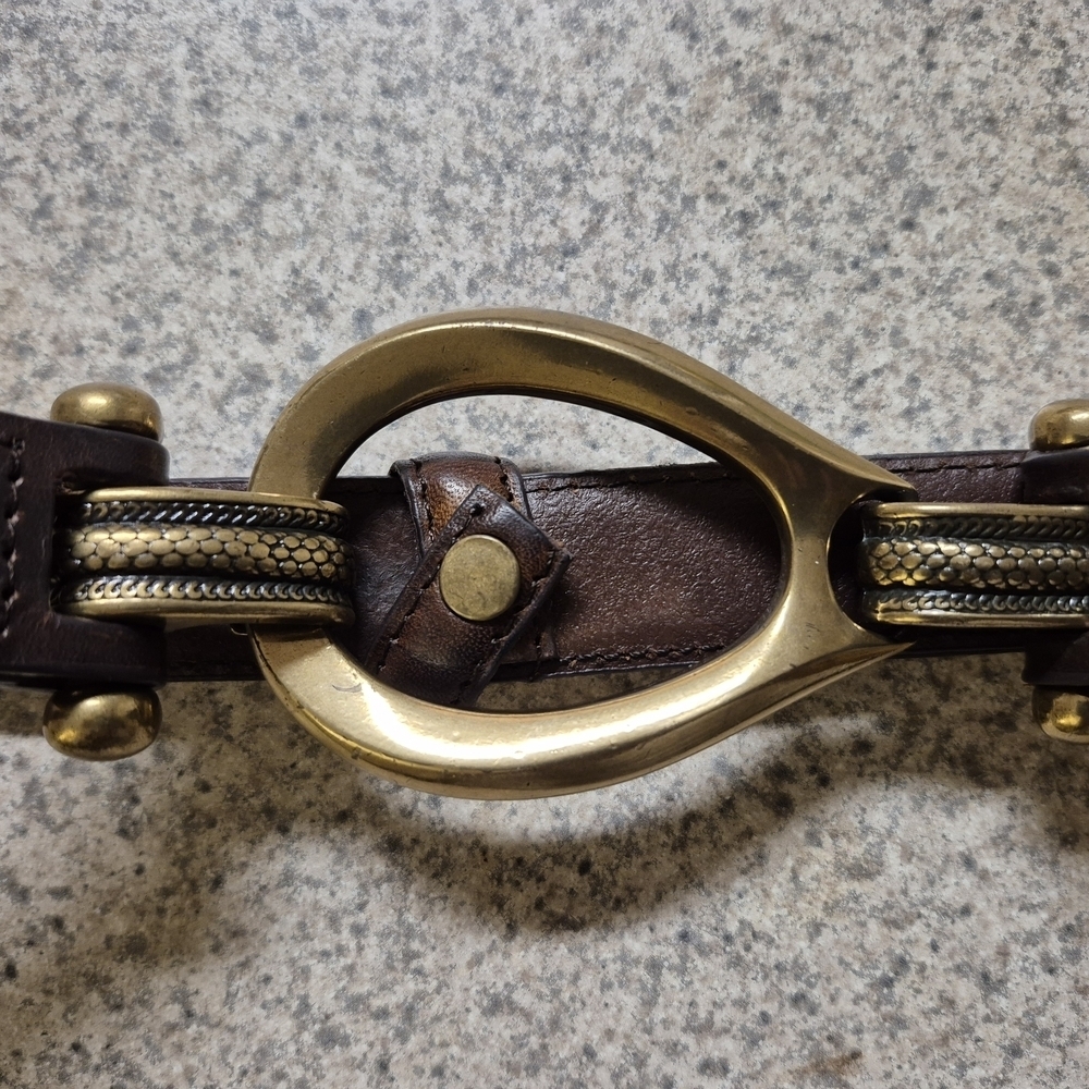 Elegant Brown Belt with Gold Accents